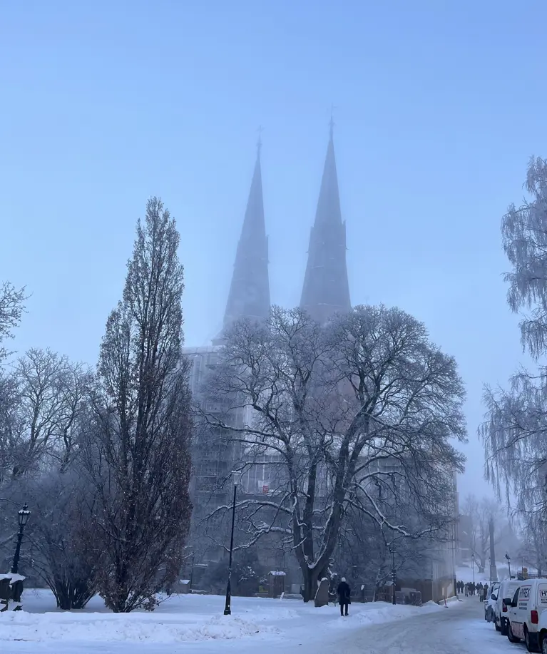 Nobel Snowy Picture_2023