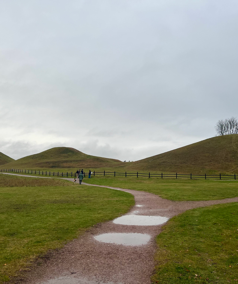 IMG 4605