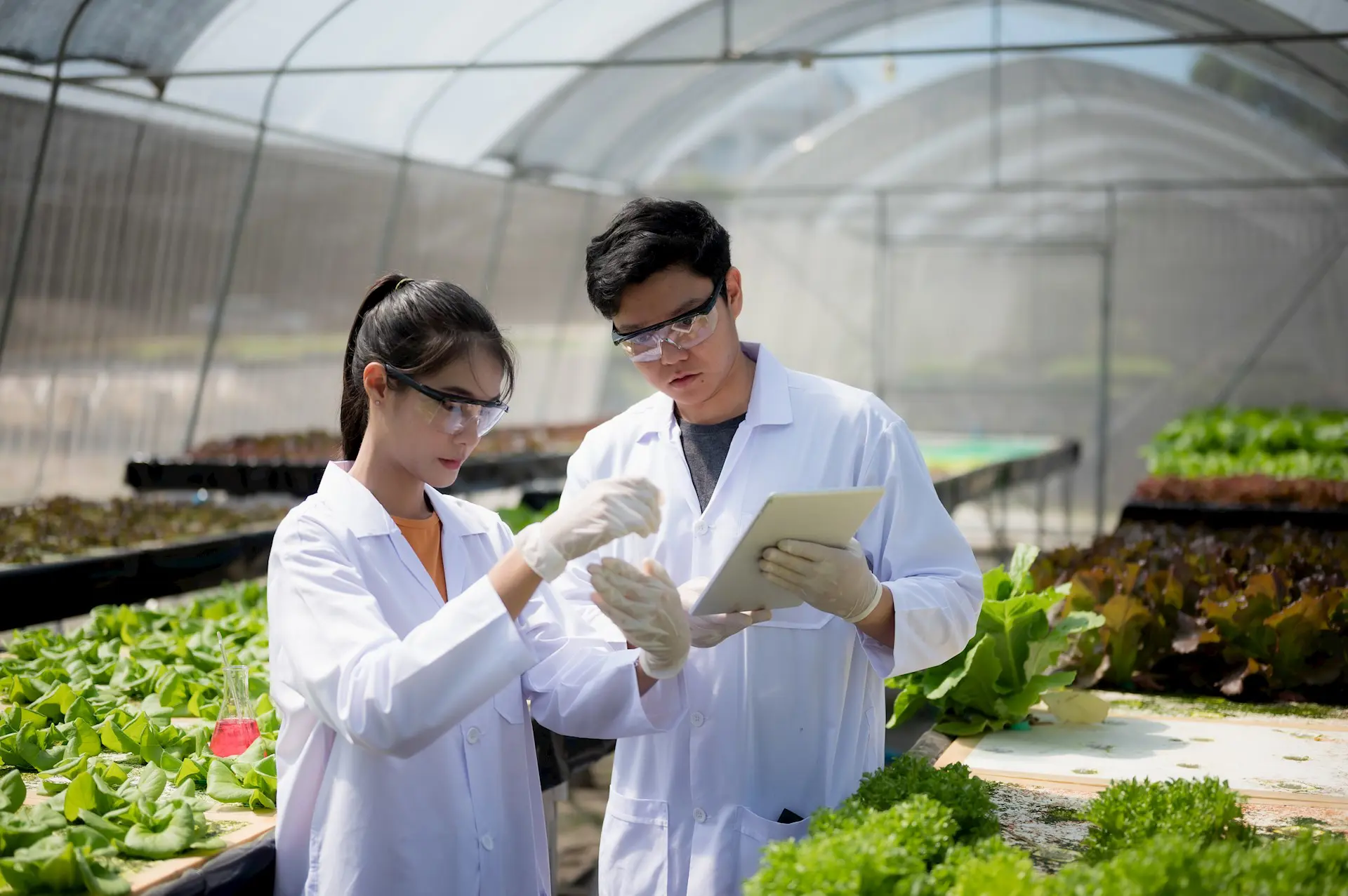 Stem Scholarships For High School Students