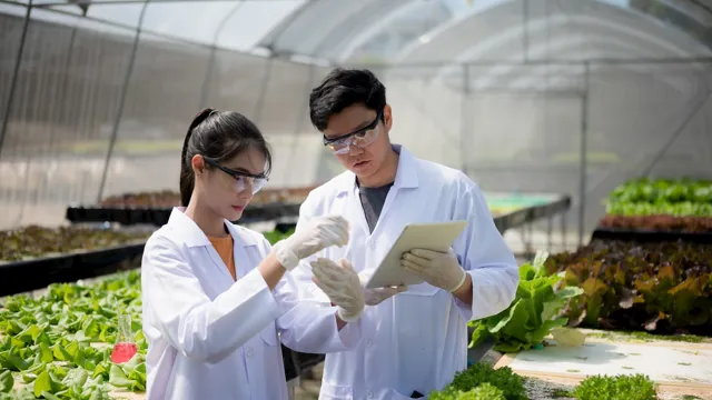 Stem Scholarships For High School Students