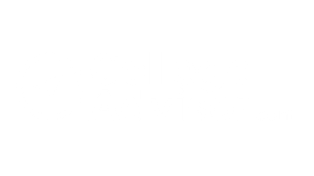 CA.Com White Transparent Logo