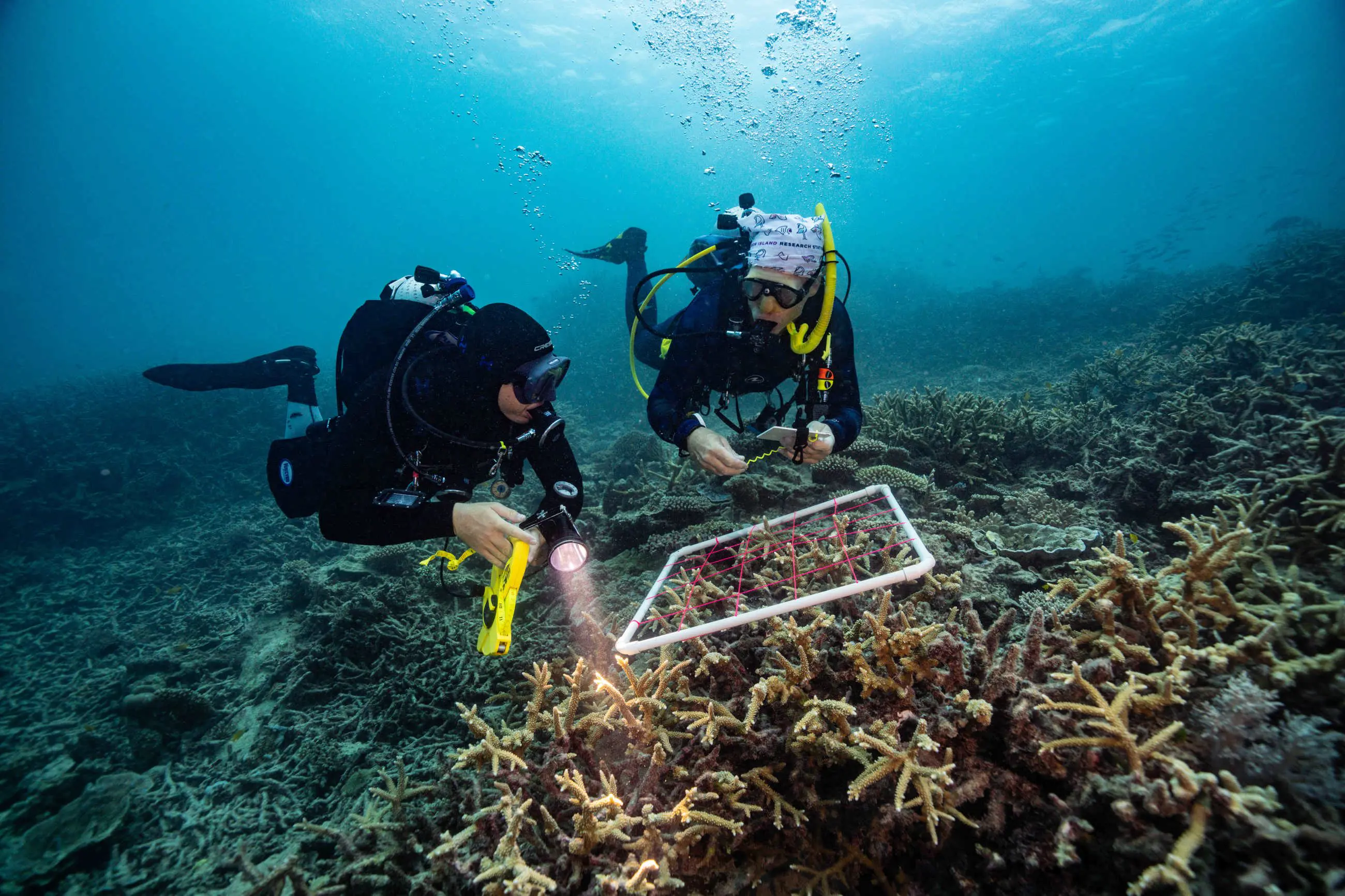 Heronislandunderwaterstudent 2026