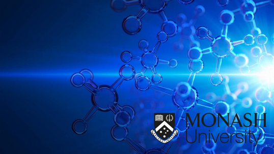 Monash Blog Header August 2022
