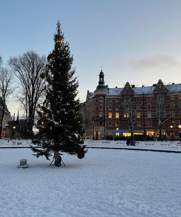 Noble Town Square_2023