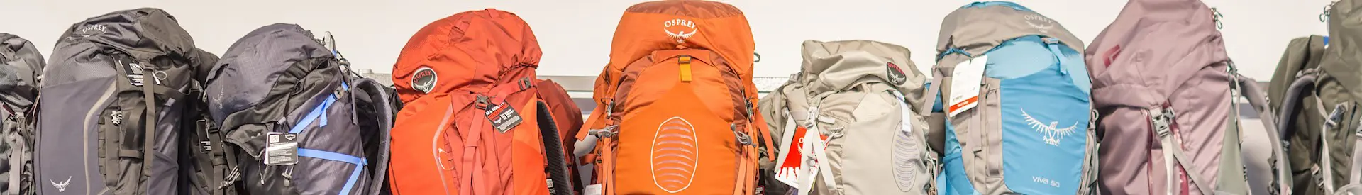 Gap Year Travel Banner Backpacks