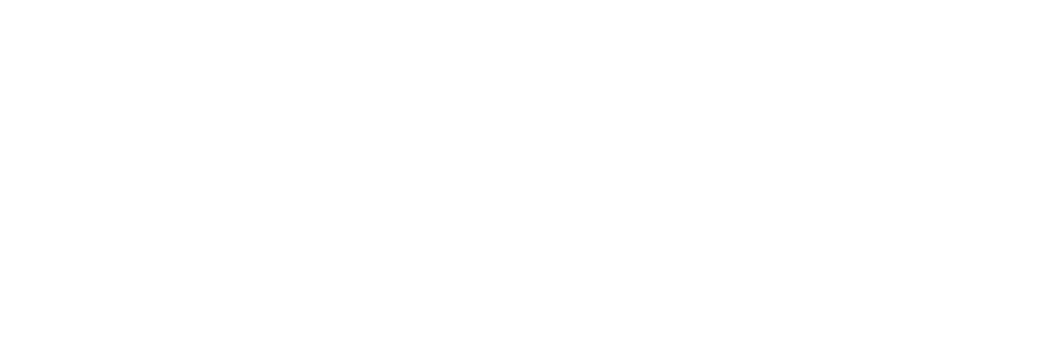 Projectsabroadwhitelogo 2025